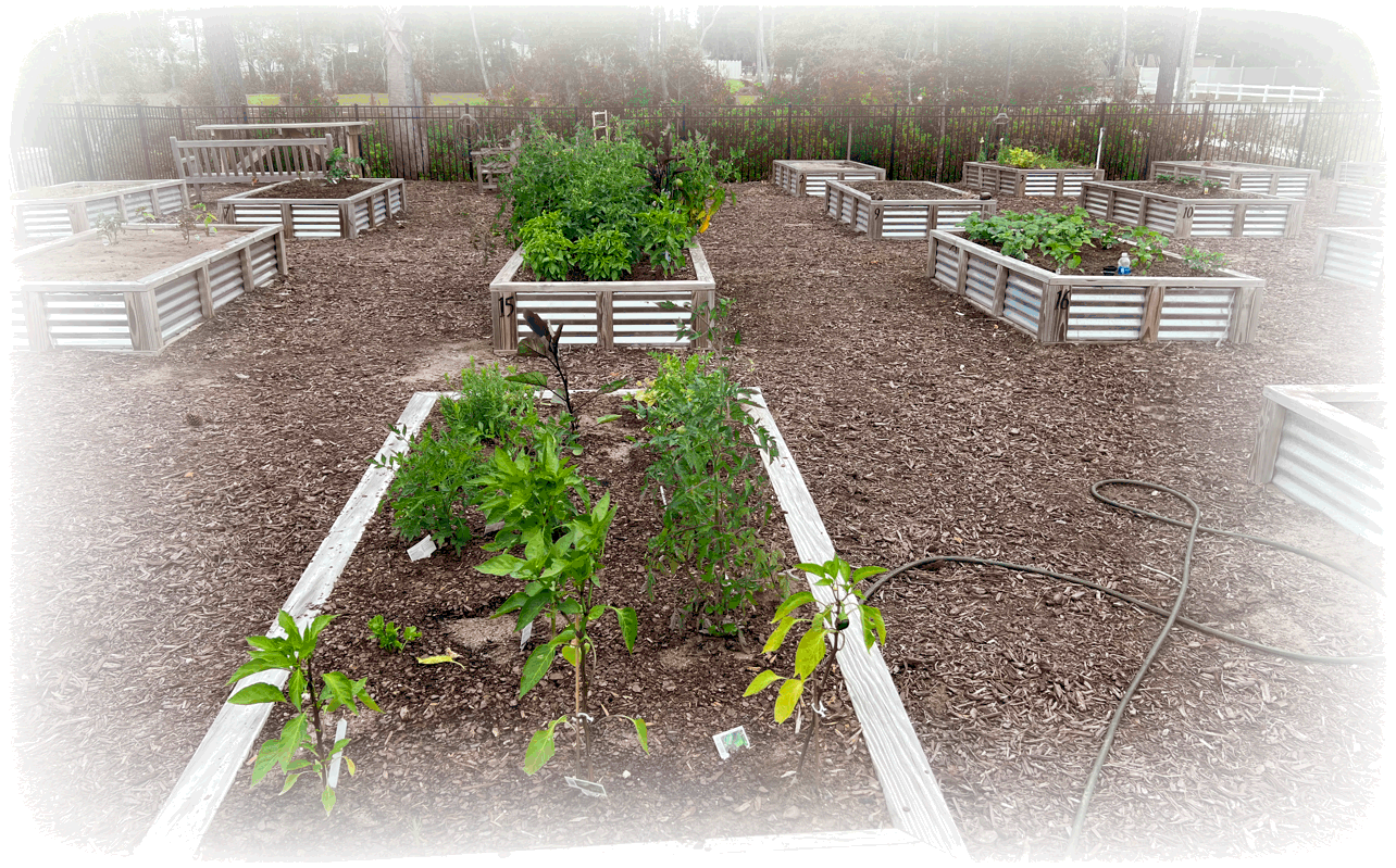 Cooper's Bluff Community Garden